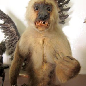 Museum in Baños