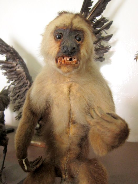 Museum in Baños