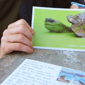 postcard from Galapagos