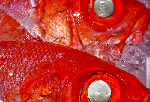 Something fishy in Tacna border crossing