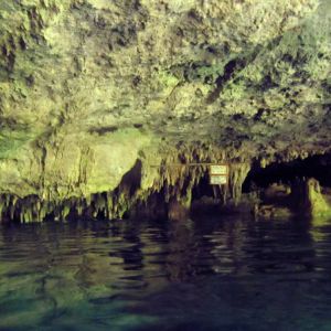 swimming in dos ojos cenote near Tulum Mexico