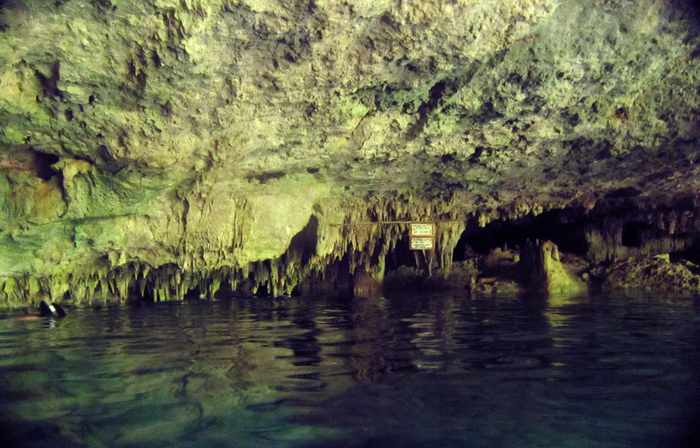 swimming in dos ojos cenote near Tulum Mexico