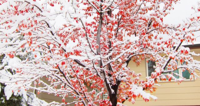 Boulder after a snowstorm