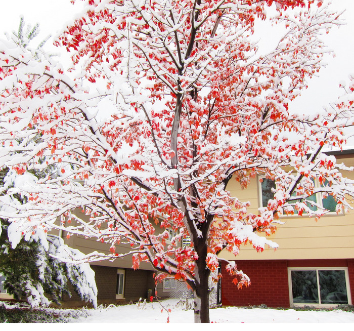 Boulder after a snowstorm