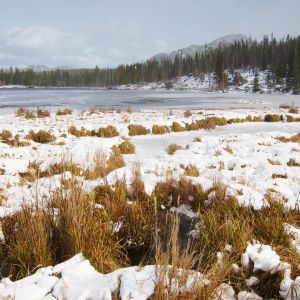 Sprague Lake Rocky Mountain NP
