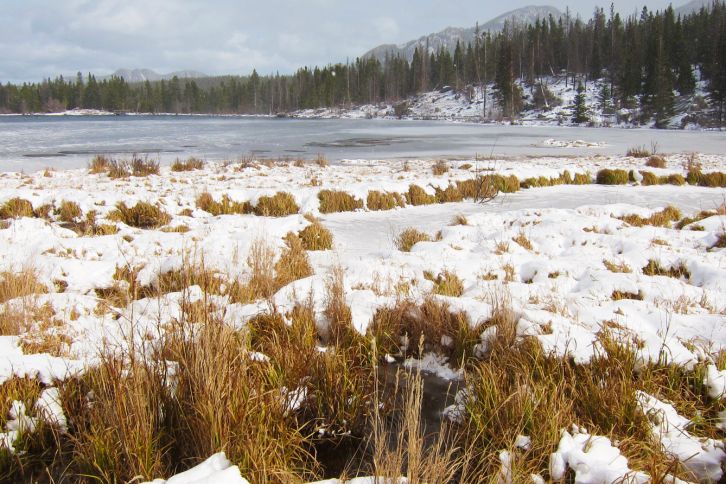 Sprague Lake Rocky Mountain NP