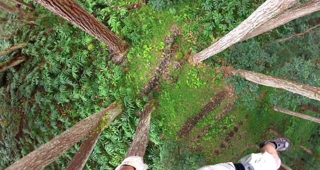 Ziplining view at Kohala zipline