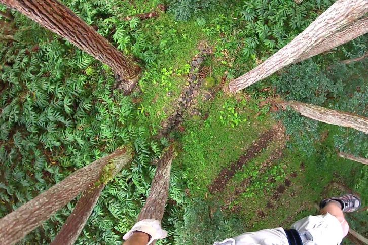 Ziplining view at Kohala zipline