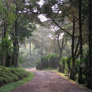 selva-negra-entrance