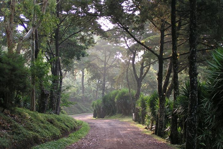 selva-negra-entrance