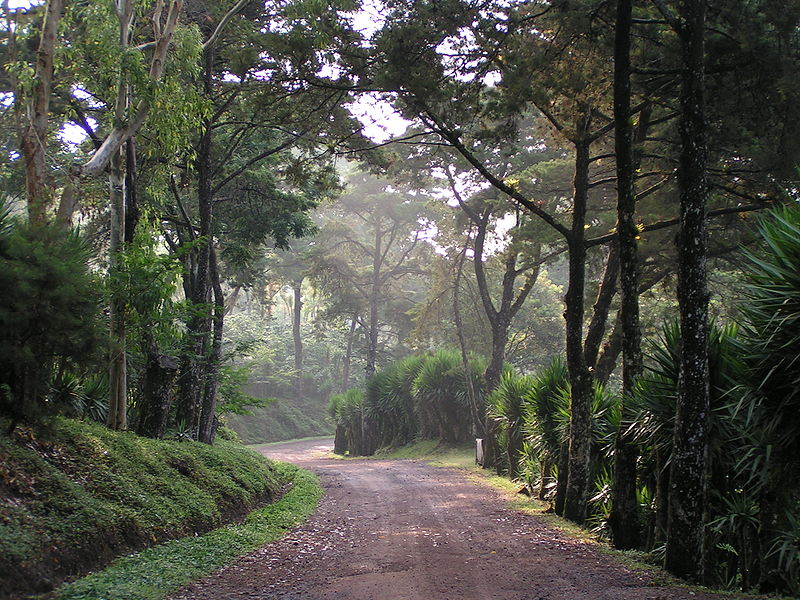 selva-negra-entrance