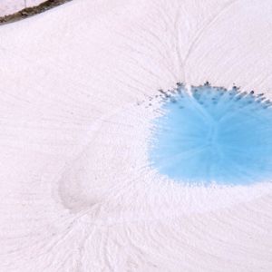 grinnell glacier in glacier national park
