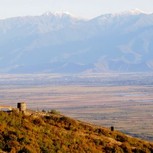 View of Kakheti wine region