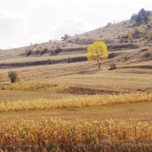 The road to Sapara