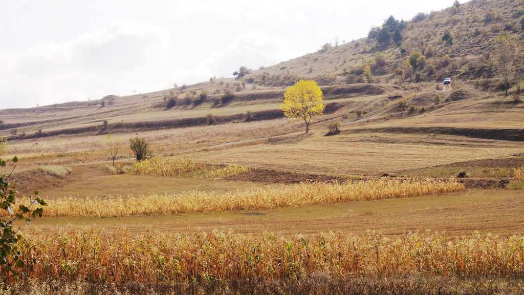 The road to Sapara