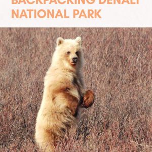 Tips and Advices for Backpacking in Denali National Park