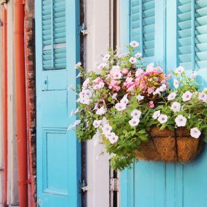 Colorful doors in the French Quarter