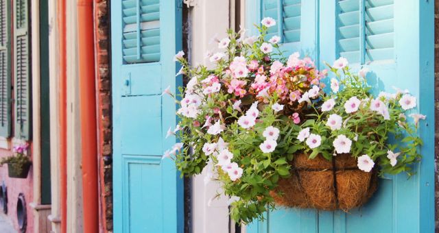 Colorful doors in the French Quarter