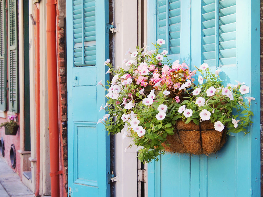 Colorful doors in the French Quarter