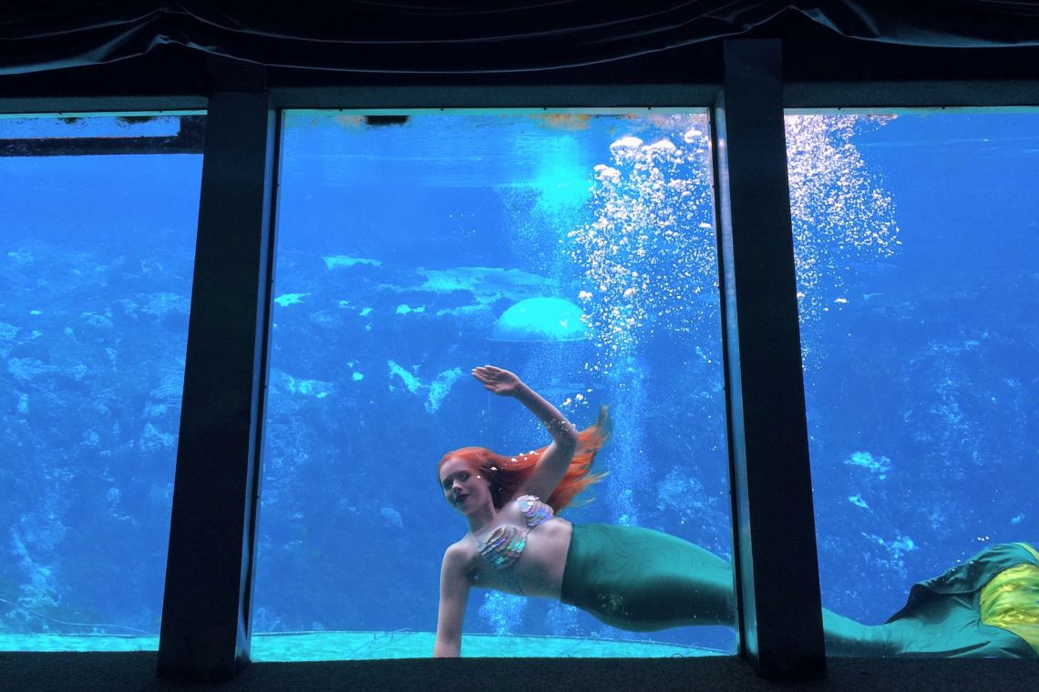 Mermaid passing by