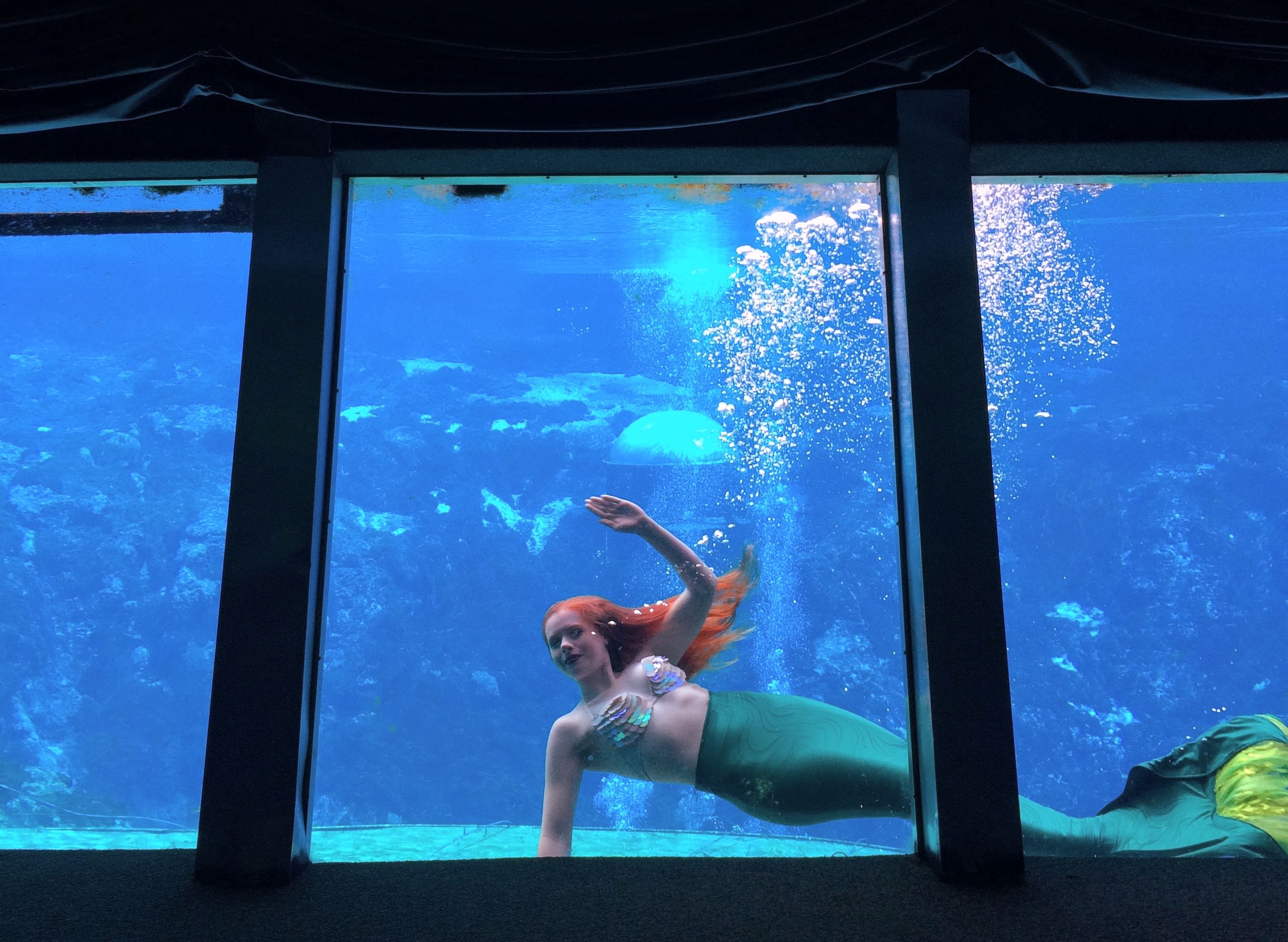 Weeki Wachee Springs State Park | Florida State Parks