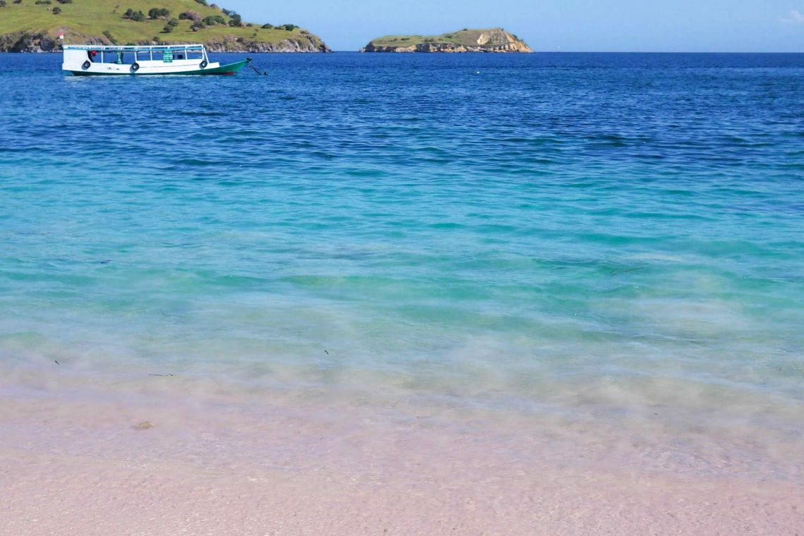 pink beach in Flores