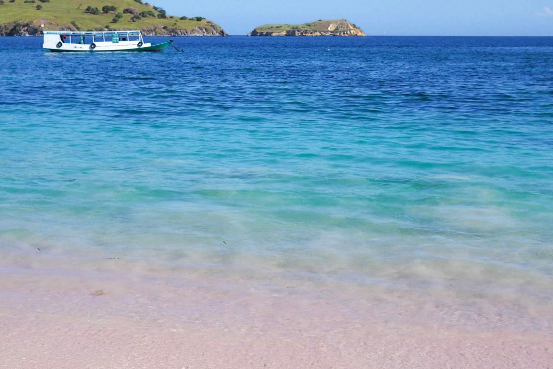 pink beach in Flores