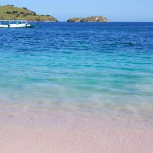 pink beach in Flores
