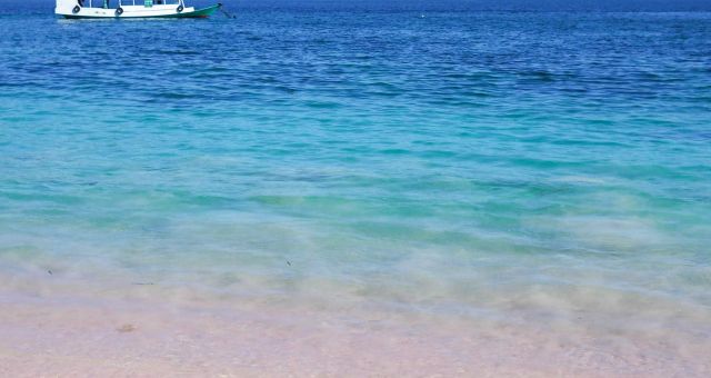 pink beach in Flores