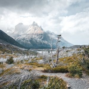 W Trek Patagonia