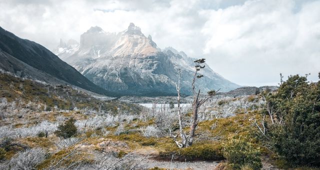 W Trek Patagonia