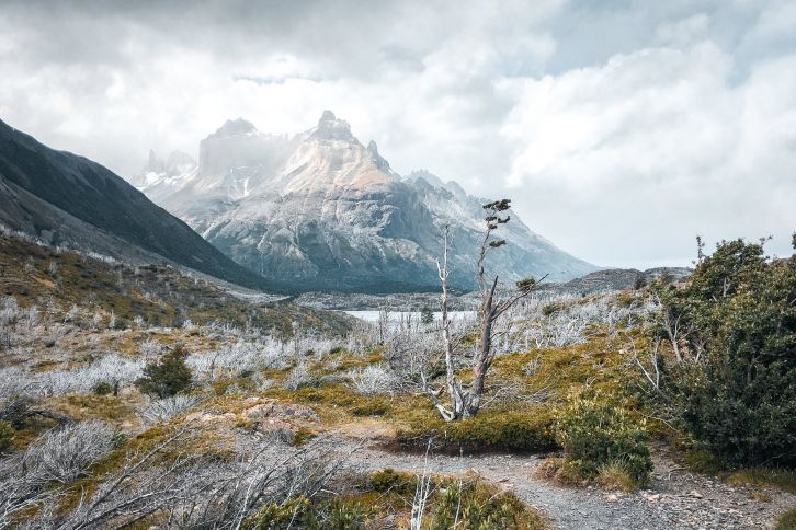 W Trek Patagonia